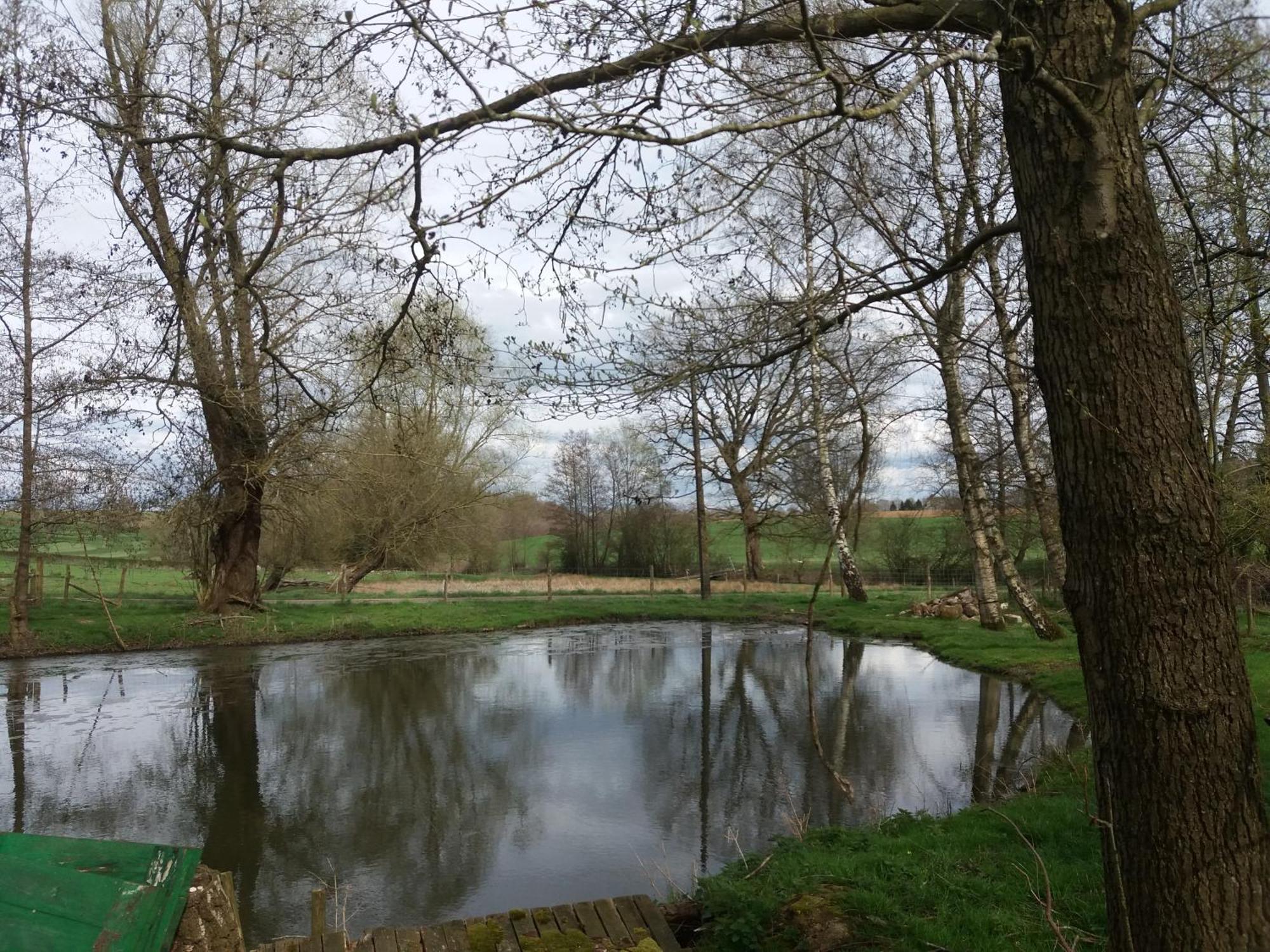 Le Sentier Des Etangs Barsy Exterior foto